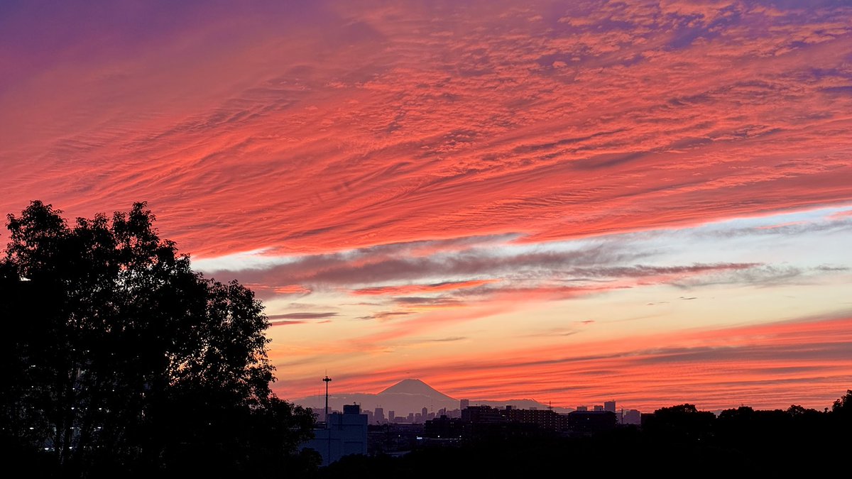 KENKICHI TAJIMA (@vkenkichi) / Posts / X