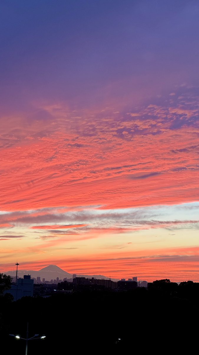 KENKICHI TAJIMA (@vkenkichi) / Posts / X