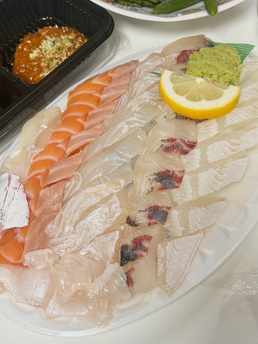 모듬회 🐟🐠🐡🫧