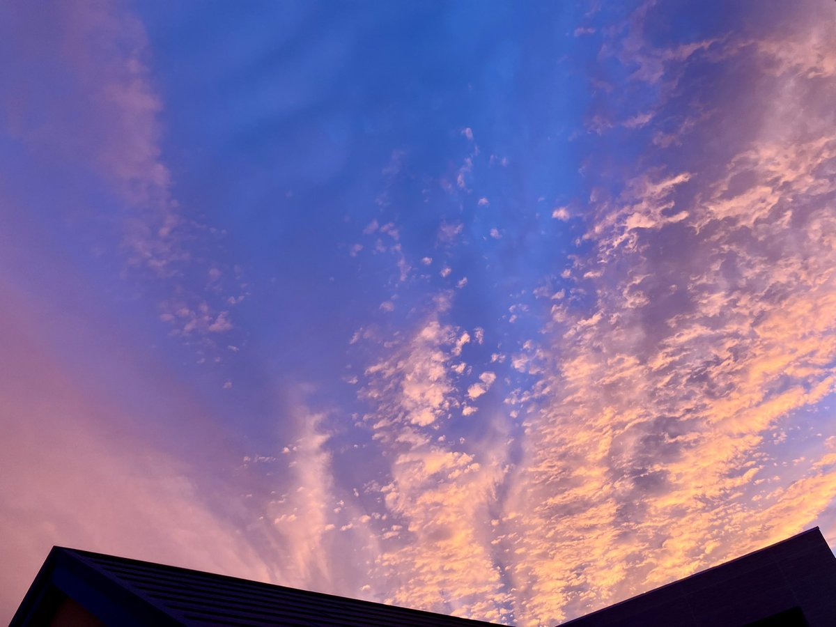 空が一瞬凄かった！花火か桜にも見える