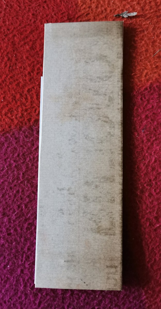 Fifrelin de la Marinière 🌈 tweet media