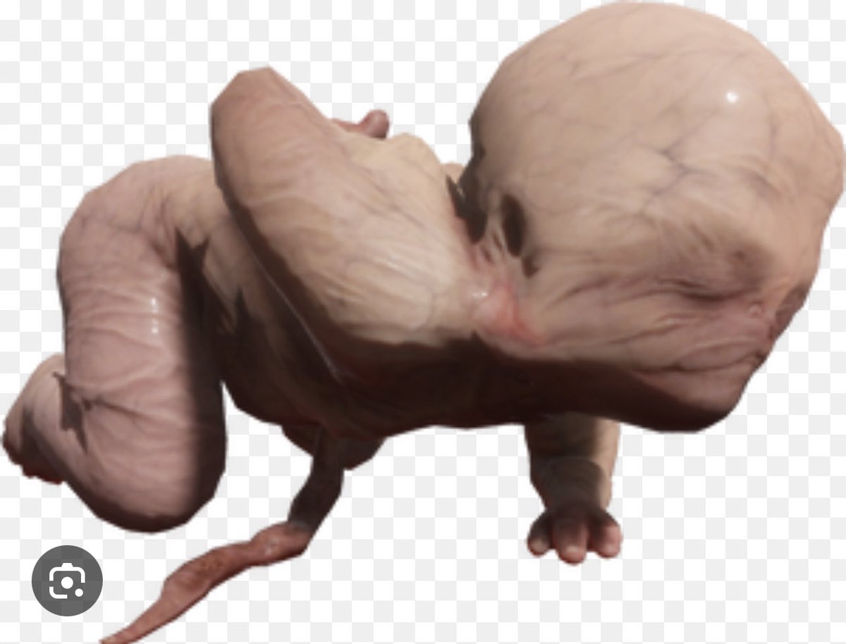 Women hyping up their kids and it looks like this