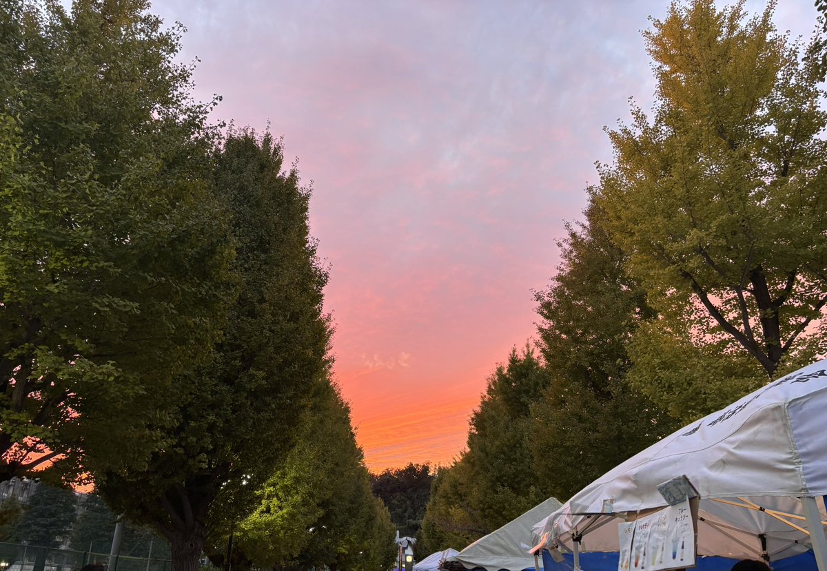 enoshimasanpo's tweet image. 浜大祭の夕焼け空がすごかった...！

#青ブタ #聖地巡礼さんぽ
#solaris #浜大祭2025