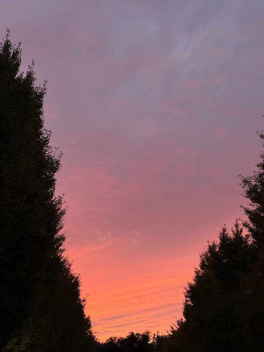 enoshimasanpo's tweet image. 浜大祭の夕焼け空がすごかった...！

#青ブタ #聖地巡礼さんぽ
#solaris #浜大祭2025