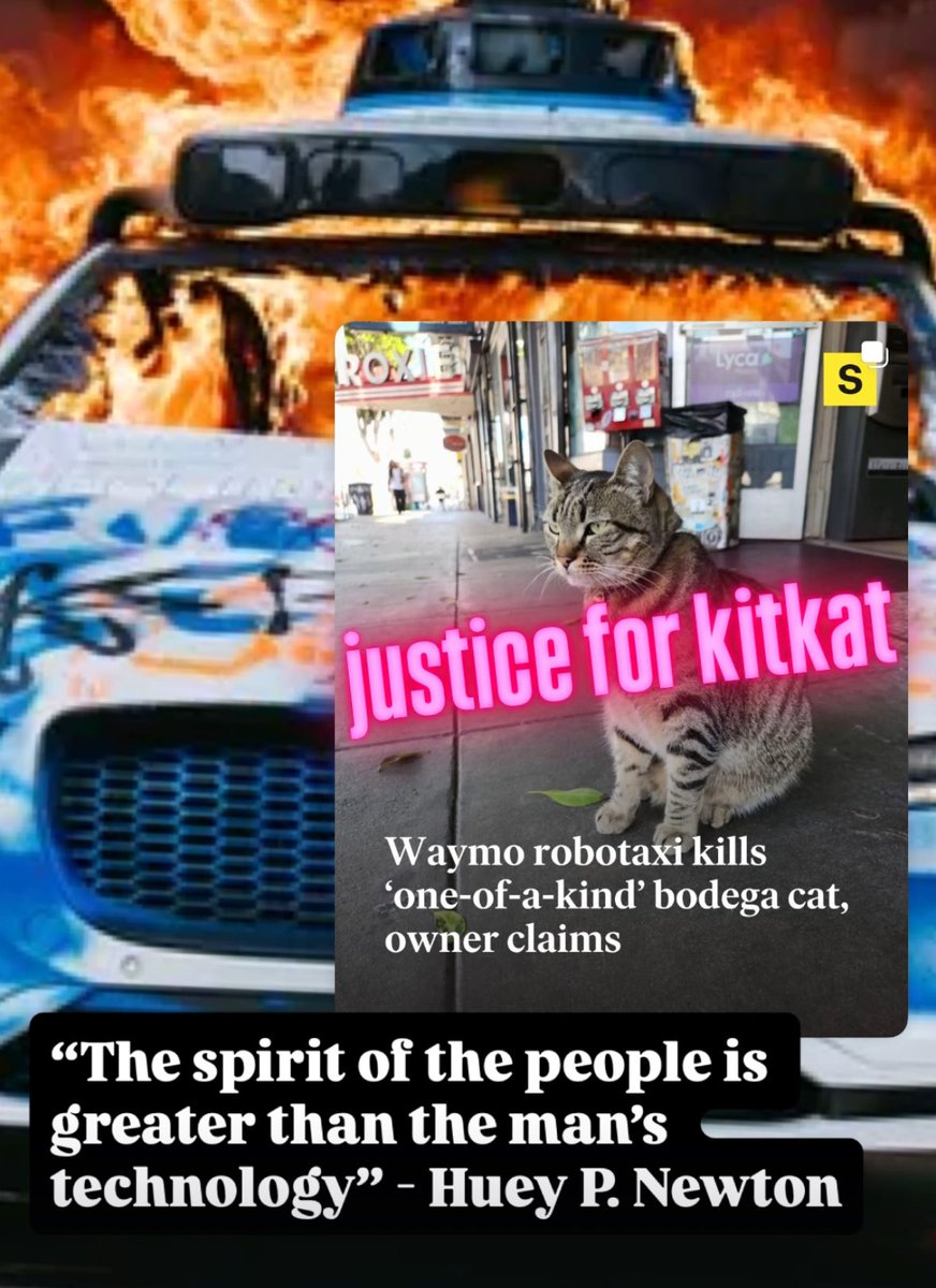 Left in the Bay (@leftinthebay) on Twitter photo 