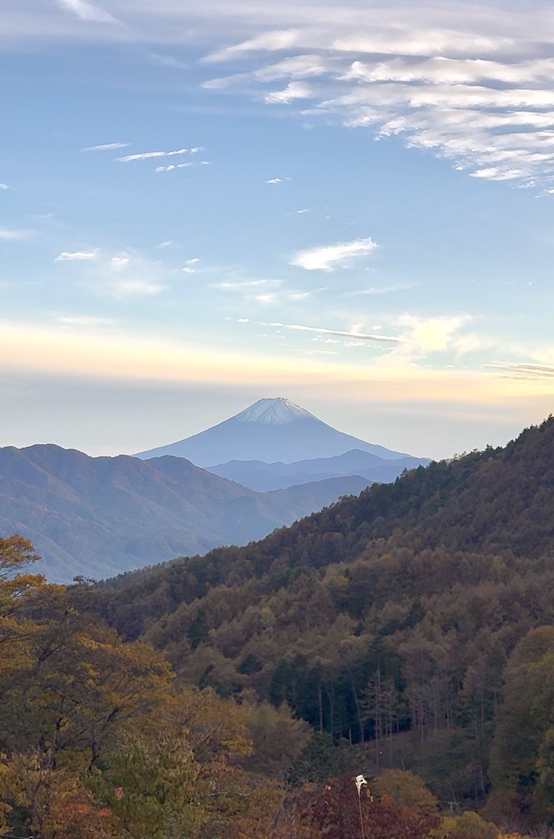 🍃🌷.*さいちゃん🌷.*🍃フォローしても外れてしまう不具合中です