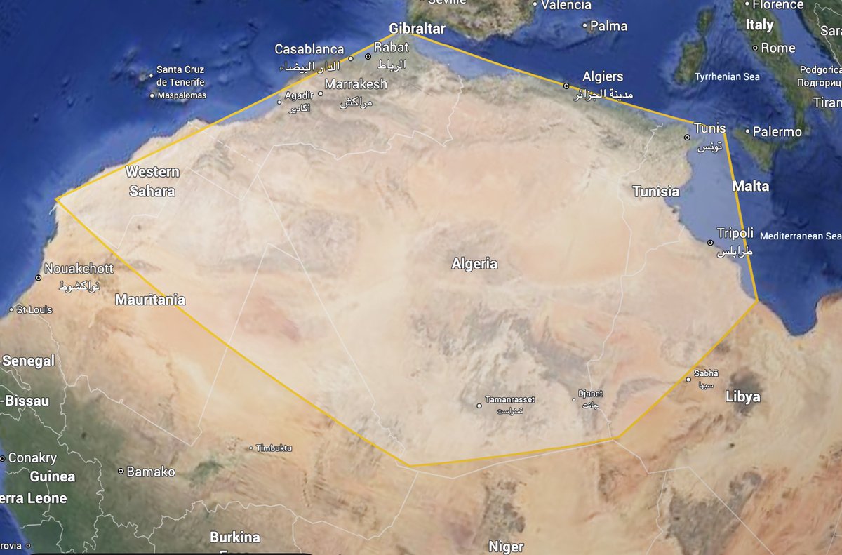 Khaled Selmi tweet media