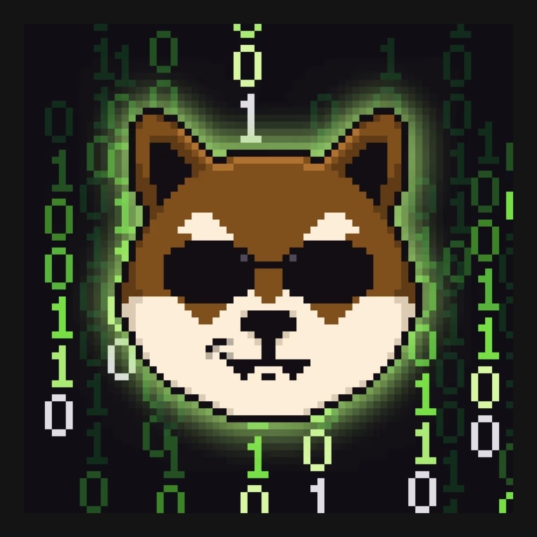 OSCARVISION123's tweet image. This is one for all the #matrix and #NFTs lovers out there 😉 here&apos;s my collection of $oscar $shibutis matrix nft masterpiece.