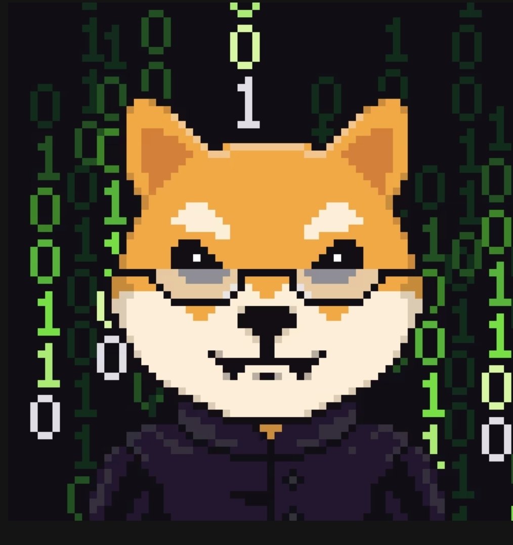 OSCARVISION123's tweet image. This is one for all the #matrix and #NFTs lovers out there 😉 here&apos;s my collection of $oscar $shibutis matrix nft masterpiece.