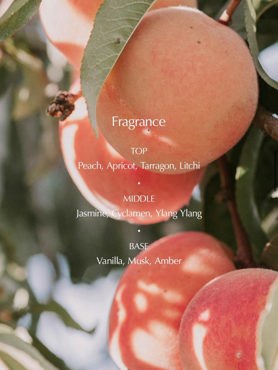 #RT이벤트
🍑RT하신 팔로워 1분께 루아페의 화이트 애프리콧 기획세트(본품 30ml + 증정 5ml + 슈즈참) 미개봉품을 보내드려요🍑

탑 : 복숭아, 살구, 타라곤, 리치
미들 : 자스민, 시클라멘, 일랑일랑
베이스 : 바닐라, 머스크, 앰버

✔️한 입 베어먹은 살구와 복숭아에서 감도는 청아한 수분감