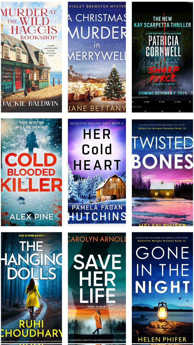 karen4013's tweet image. #OctoberRoundUp

9 books read. My favourite was #HerColdHeart. Loved it.