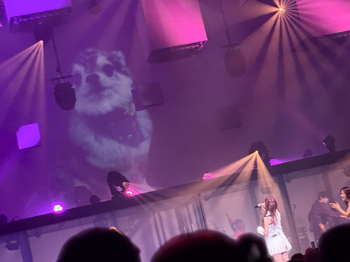 ハッピーキラキラ革命起こせた！ ツアー完走したよ ありがとうご