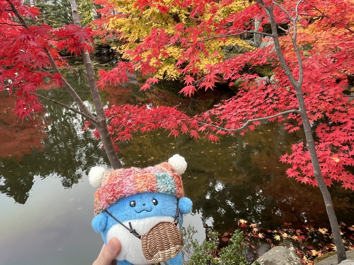 うーちゃん（あや） (@wQw9u_chan) / Posts / X