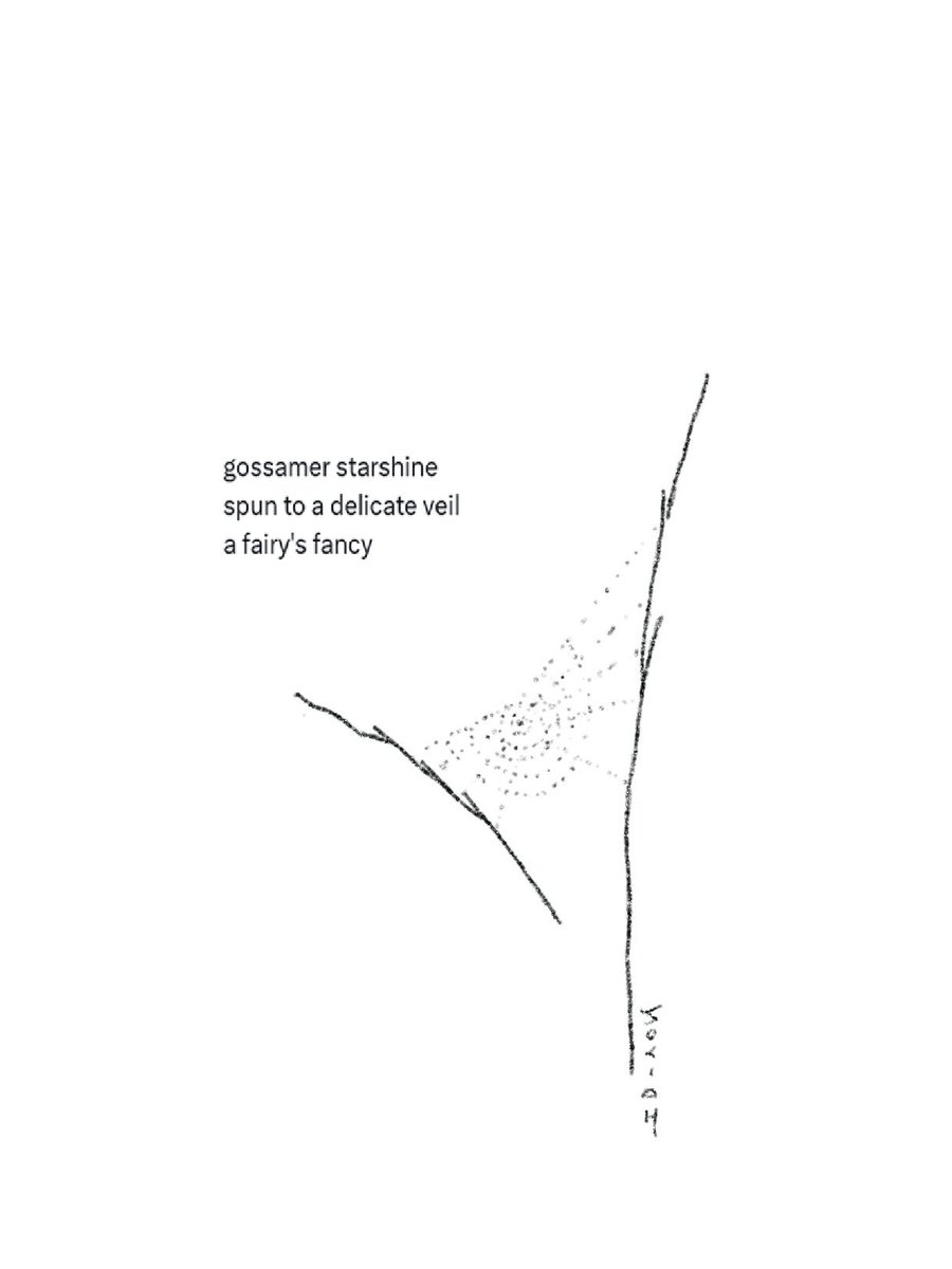 gossamer starshine 
spun to a delicate veil
a fairy's fancy 

#completethehaiga 122 #prompt #haiga #haiku 
#10wordspoet ~ starshine
