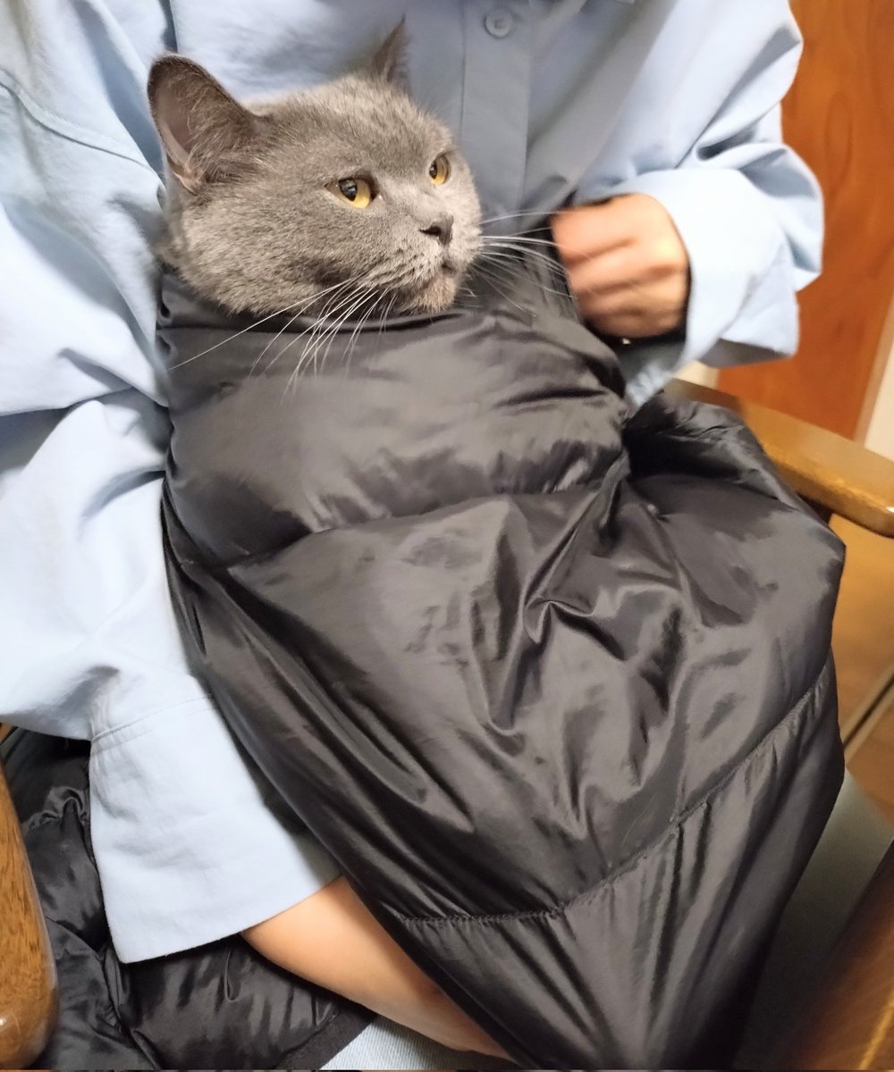 パープル猫 固まる猫砂7L ｜ ミスターマックスオンラインストア