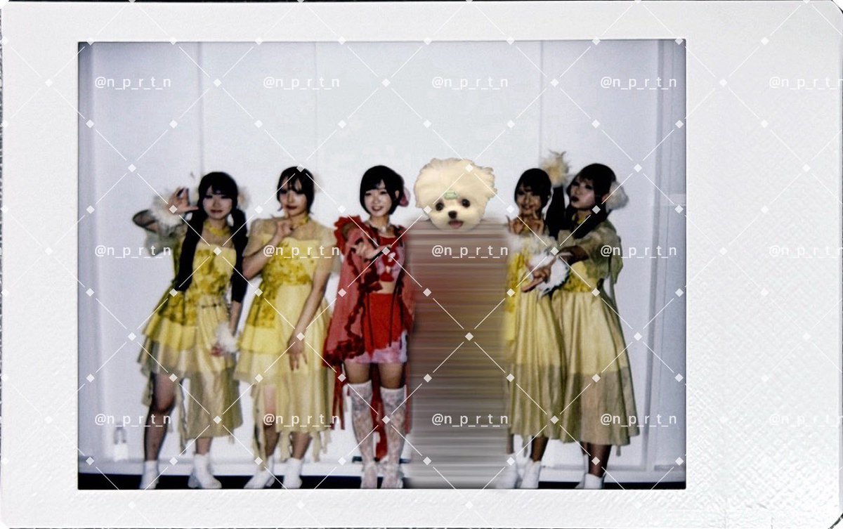 なぽりたんさんに専用ページ ナポリタン (@n_p_r_t_n) / Posts / X