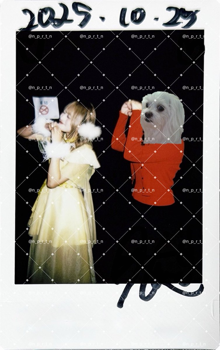 ナポリタン (@n_p_r_t_n) / Posts / X