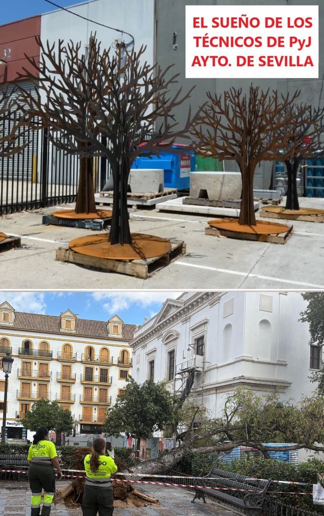 En #Sevilla ya NO hay #Árboles para tanta #Motosierra.
Es un inmenso #CementerioDeÁrboles.
<a href="/Ayto_Sevilla/">Ayuntamiento de Sevilla</a> ha publicado 160 #FichasDeApeo o #Talas ejecutadas en octubre.
Faltan más de 30 #Fichas y NO han incluido los #Árboles afectados por el último temporal y la falta de cuidados.