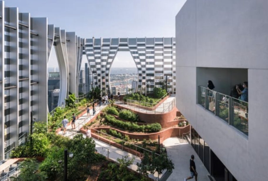 MICHELEROSSI23's tweet photo. “Dubai Vertical Farms Initiative" – Trasformare lo Skyline in un Paesaggio Agricolo Sostenibile

All'attenzione di: Sua Altezza Sheikh Mohammed bin Rashid Al Maktoum, Vice Presidente e Primo Ministro degli UAE e Sovrano di Dubai, e all'Amministrazione di Dubai.

Oggetto: Una Visione per il Futuro dell'Agricoltura Urbana e della Sicurezza Alimentare

Eccellenze, Illustri Membri dell'Amministrazione,

Con grande rispetto e ammirazione per la lungimiranza che ha trasformato Dubai in un faro globale di innovazione e resilienza, vi presentiamo una proposta audace che mira a posizionare Dubai come la prima nazione al mondo a integrare sistematicamente l'agricoltura biologica controllata nella sua iconica skyline.

1. Premessa: La Visione

Immaginate un futuro in cui ogni grattacielo di Dubai, già simbolo di prosperità e ingegno umano, non si limiti a svettare verso il cielo, ma doni vita e sostenibilità dalla sua sommità. Propongo di istituire per regolamento che tutti i nuovi grattacieli, e ove possibile quelli esistenti, siano dotati di una serra a temperatura controllata in cima, dedicata alla produzione di verdure biologiche per la comunità.

Questa non è solo un'idea ecologica; è una dichiarazione strategica al mondo: Dubai non è solo il crocevia del commercio e della finanza, ma diventerà il pioniere indiscusso della sicurezza alimentare del XXI secolo.

2. Perché Dubai? Il Perfetto Terreno di Coltura per un'Idea Rivoluzionaria

· Leadership nell'Innovazione: Dubai ha già dimostrato di poter realizzare l'impossibile, dai grattacieli più alti alle isole artificiali. Questa iniziativa è il prossimo, logico passo nella sua narrazione di progresso.
· Sicurezza Alttimentare: Gli UAE importano circa l'85% del proprio cibo. Questa iniziativa ridurrebbe drasticamente la dipendenza dalle importazioni, accorciando la filiera da migliaia di chilometri a poche centinaia di metri ("from Farm to Fork... in the same building"), garantendo freschezza e riducendo lo spreco.
· Sfida Climatica come Opportunità: Il clima arido di Dubai, una sfida per l'agricoltura tradizionale, diventa un vantaggio in serre controllate. L'abbondante luce solare è una risorsa gratuita per la fotosintesi, mentre l'ambiente isolato elimina la necessità di pesticidi, rendendo il "biologico" uno standard naturale.
· Sostenibilità Integrata:
  · Gestione idrica: Le serre utilizzeranno sistemi idroponici o aeroponici, riducendo il consumo d'acqua fino al 95% rispetto all'agricoltura tradizionale.
  · Efficienza Energetica: Il calore di scarto dai sistemi di condizionamento degli edifici potrebbe essere riutilizzato per il controllo climatico delle serre. L'energia solare può essere integrata per alimentare le pompe e i sistemi di controllo.
  · Isolamento e Benessere: Le serre aggiungono un ulteriore strato di isolamento termico agli edifici, riducendo i costi energetici e migliorando la qualità dell'aria assorbendo CO2 e producendo ossigeno.

3. Vantaggi Tangibili e Intangibili

· Economici: Creazione di un nuovo settore high-tech ("Agri-Tech"), posti di lavoro specializzati, risparmi per le famiglie e per la catena di approvvigionamento.
· Ambientali: Aumento della biodiversità urbana, riduzione dell'"isola di calore", diminuzione dell'impronta di carbonio legata al trasporto del cibo.
· Sociali e di Immagine:
  · Brand Globale: Dubai sarebbe universalmente riconosciuta come la "Città Verde del Deserto", un paradosso vivente e vincente.
  · Educazione e Community: Le serre potrebbero diventare spazi educativi per le scuole e luoghi di aggregazione per i residenti, promuovendo uno stile di vita sano e una cultura della sostenibilità.

4. Roadmap Attuativa (Fase Preliminare)

1. Fase Pilota (12-18 mesi): Identificare un grattacielo governativo o un nuovo progetto emblematico per ospitare la prima "Vertical Farm Summit". Misurare i dati, ottimizzare le tecnologie e creare un caso studio.
2. Quadro Normativo: Sviluppare linee guida e incentivi (segue)