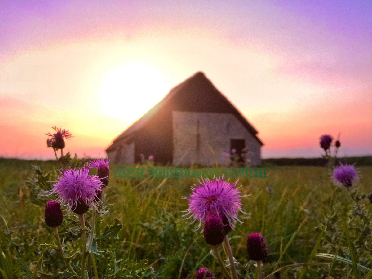 Op Texel kom je zomaar tegen: Boetjes!

Boet=schuur: Opslagplaats voor hooi/voer voor schapen.
Staan met ‘de kont in de wind’ zodat de vlakke kant beschermt tegen de (meest) westenwind op’t Waddeneiland.
<a href="/DMaandag/">Doortje Stam</a> #ergensonderweg #november_kiek <a href="/NatGeoTravel/">Nat Geo Travel</a> <a href="/CNNTravel/">CNN Travel</a> <a href="/Visit_NL/">Visit Netherlands</a>