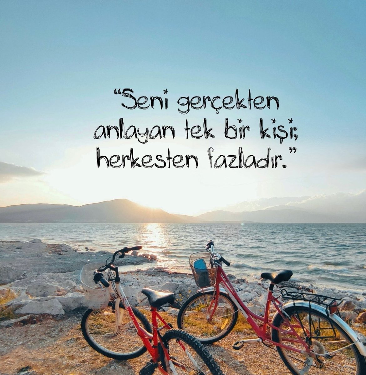 Ardıç Kuşu (@ardiskusu) on Twitter photo 