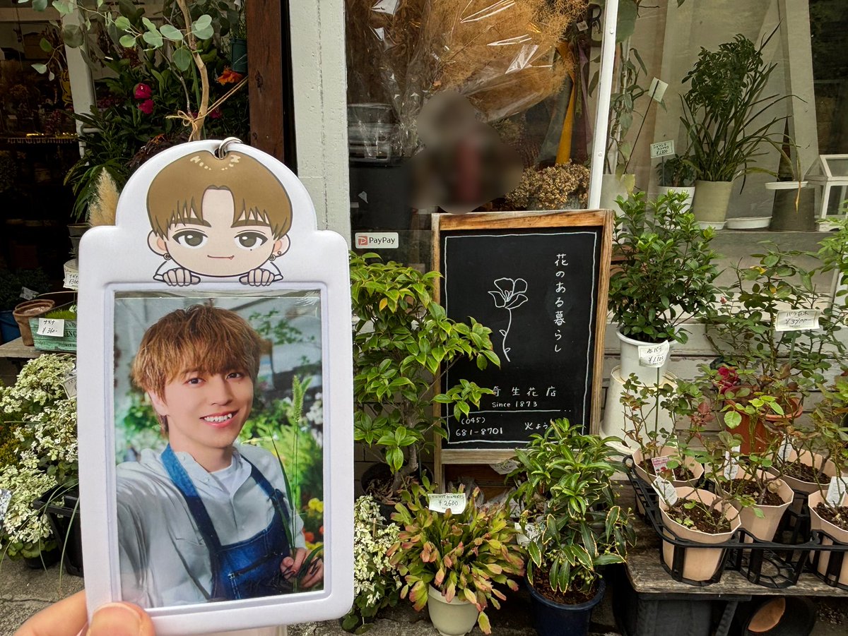 かんな 天運 かんな (@kanna8bt) / Posts / X