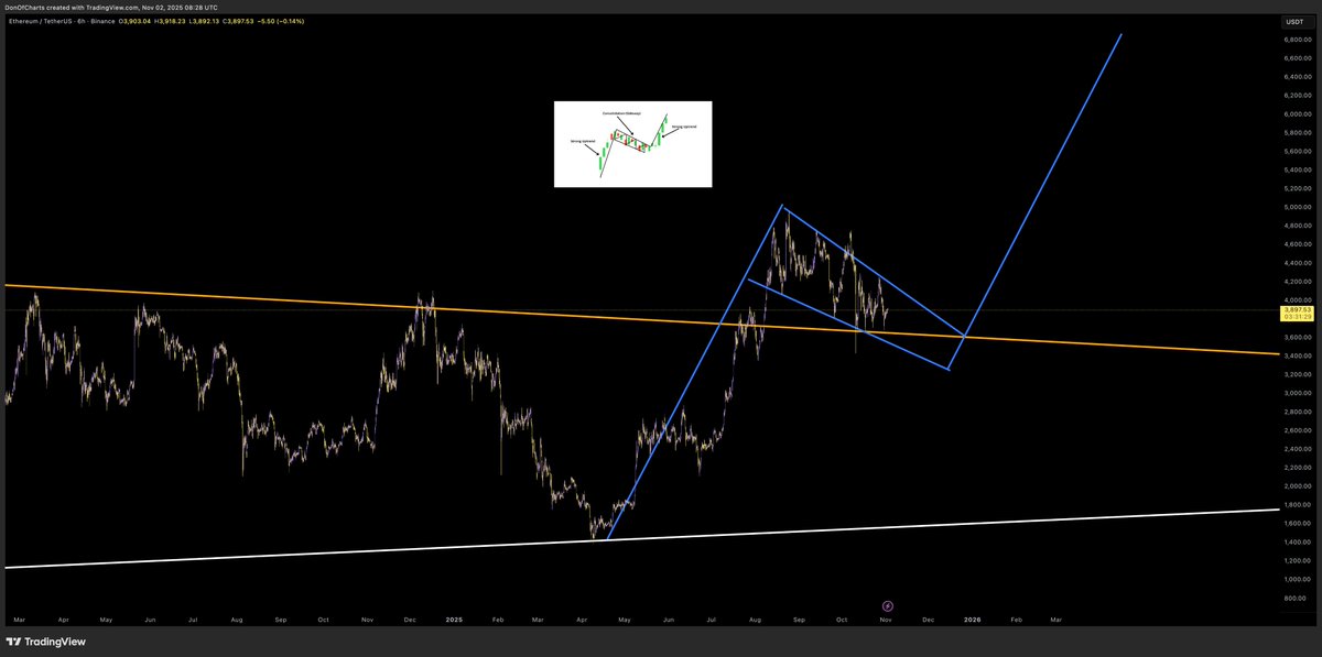 Don 🐂 tweet media