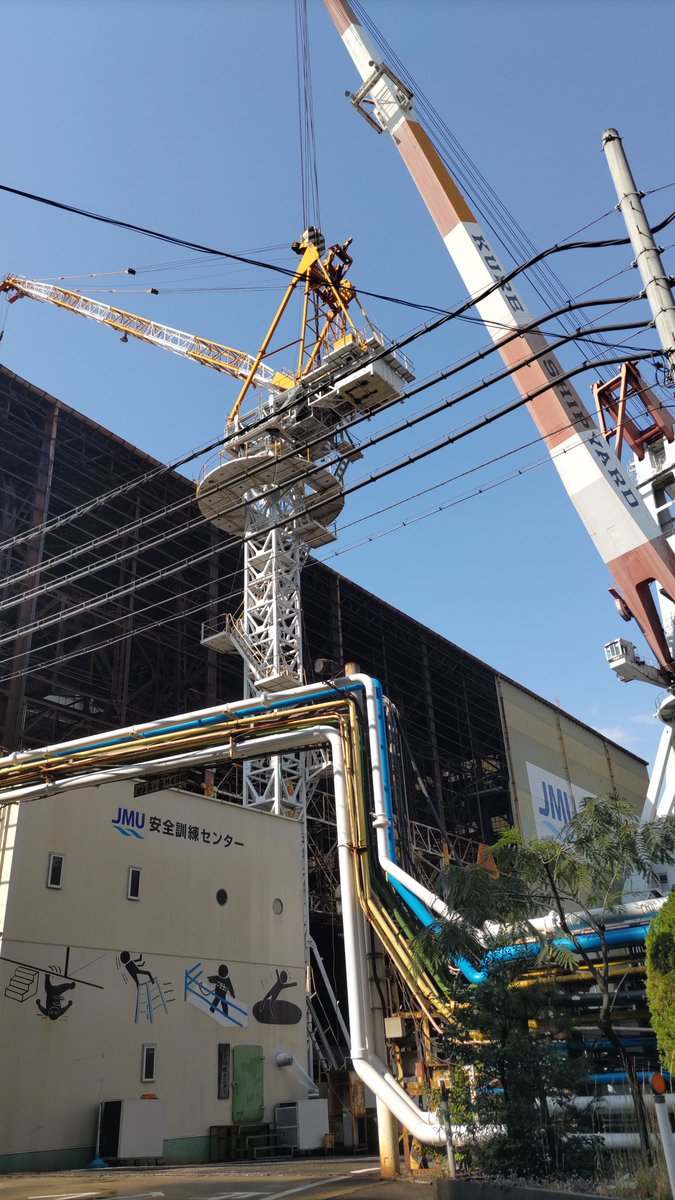 文藝春秋デラックス 週刊読売 まとめ バレエ 歴史 祭り 犬ネコ 古代