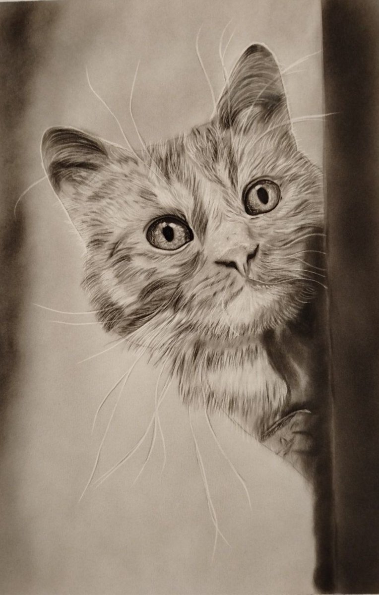 #MadeCommunity1😎#MWellB 
      Good Evening &amp; Good Morning 
                          Everyone 
QT Quote 
👀 Waiting Eyes 👀
✨ 10 editions
✨ 3xtz
objkt.com/tokens/KT1Wr8f…