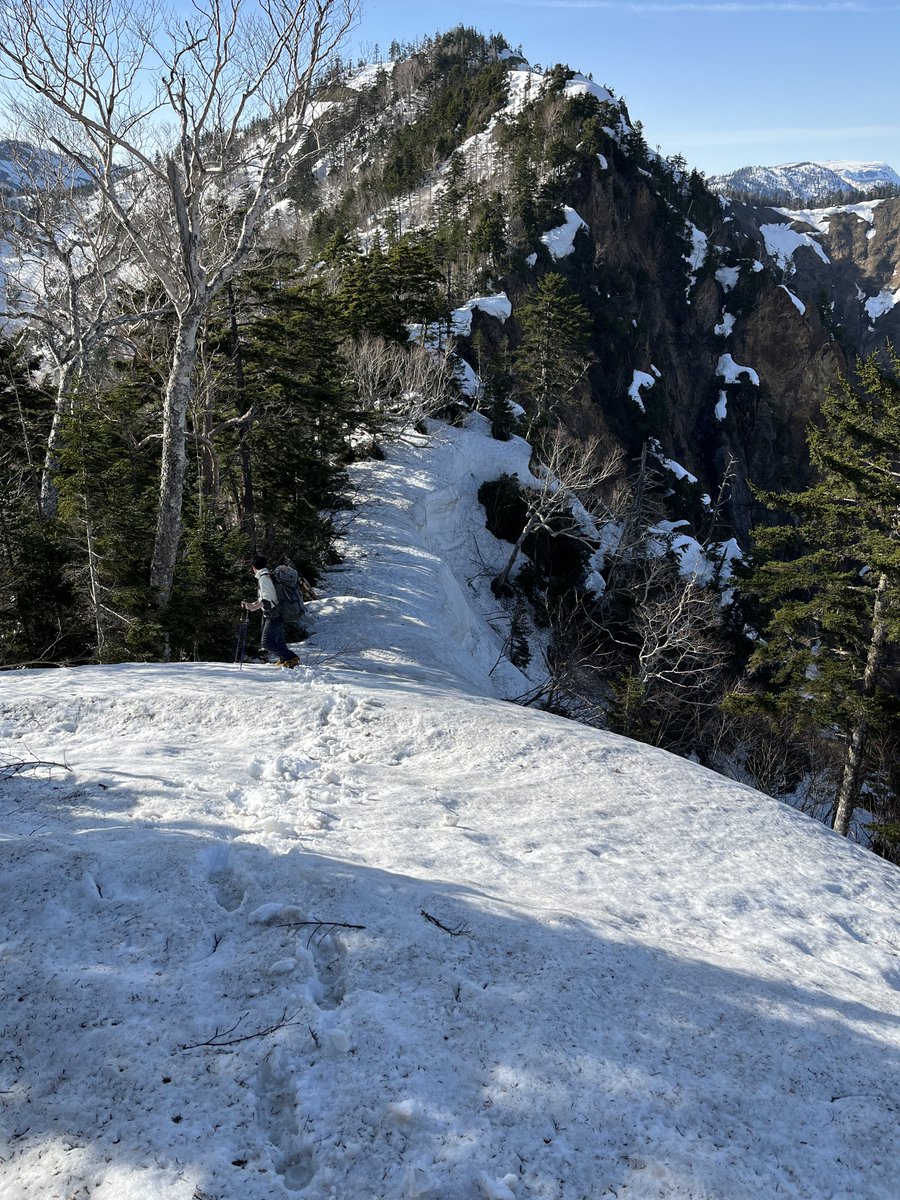 ひらりんページ ひらりん (@pirarin_) / Posts / X