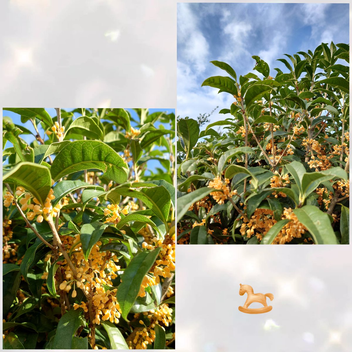 麒麟獣文花生 麒麟獣文花生 麒麟獣文花生 麒麟獣文花生 麒麟 Kirin (Qilin) 神谷哲史