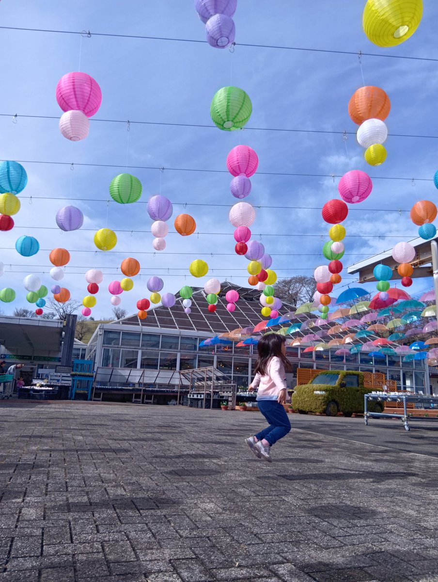 ぴょんぴょん～