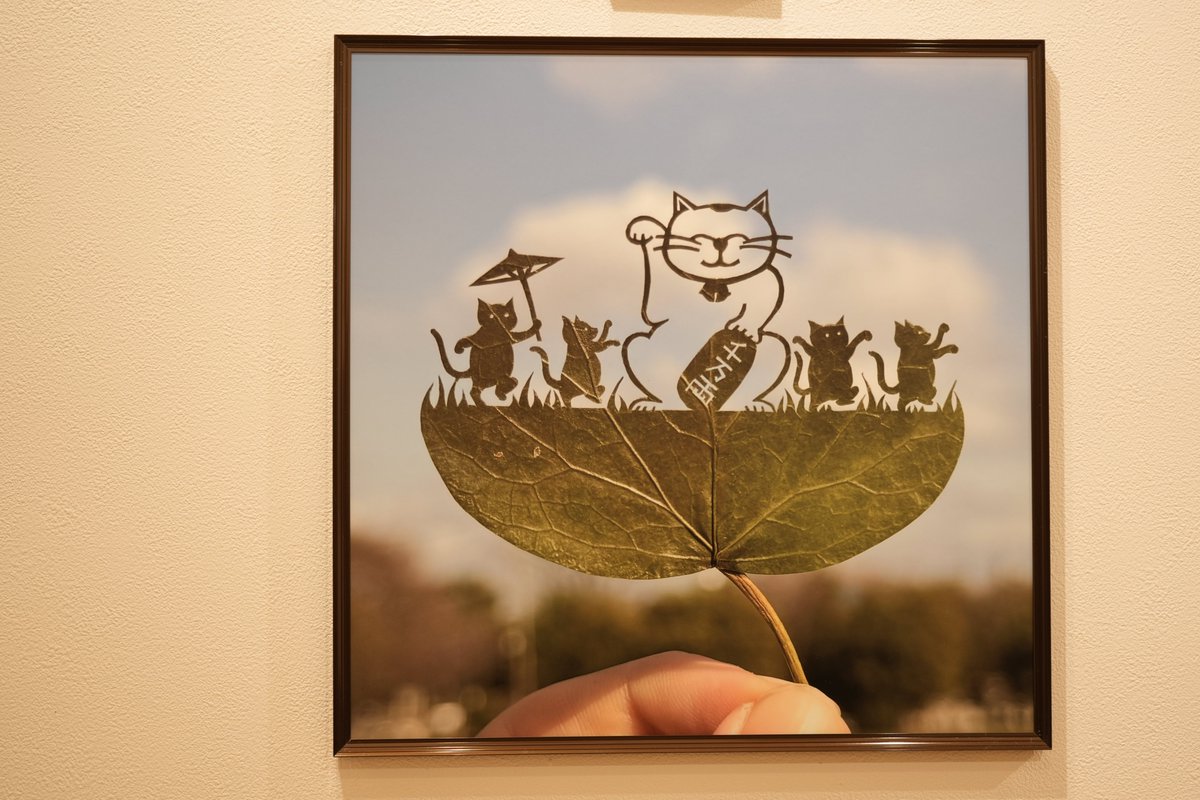 リトくんページ 撮り鉄MAN on X