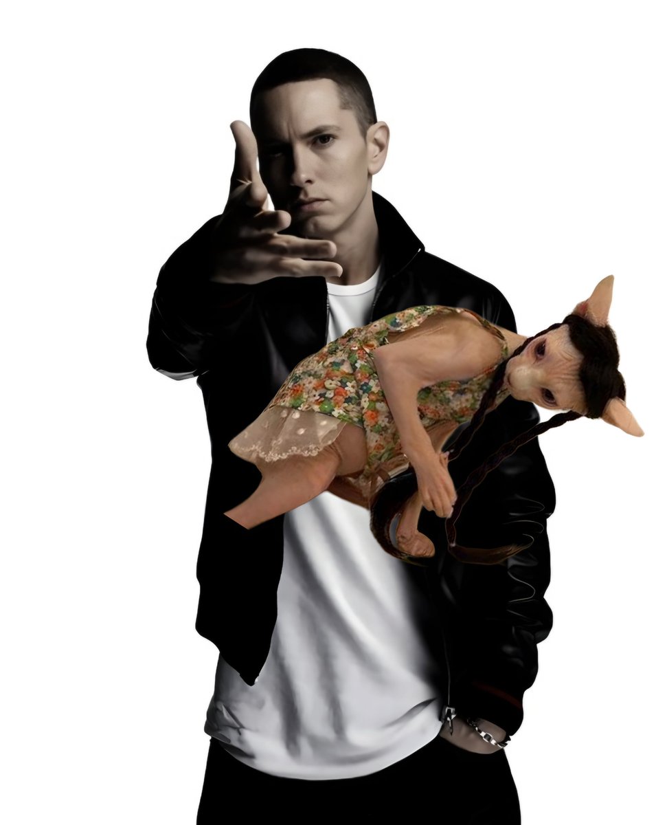 scope2801's tweet image. I cast THE CAT™ upon ye.