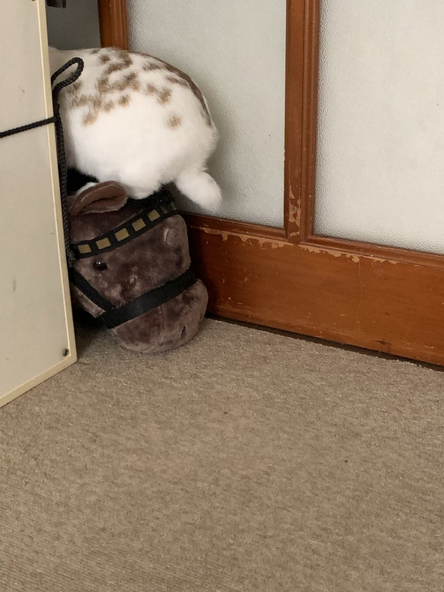 ゴンちゃん様❤️リクエスト 2点 おまとめ★エンビロン★ありがとうございます♡ ヒロトラ プレイアブルキャラNEWS】 □Mr.コンプレス(CV：#最上嗣生