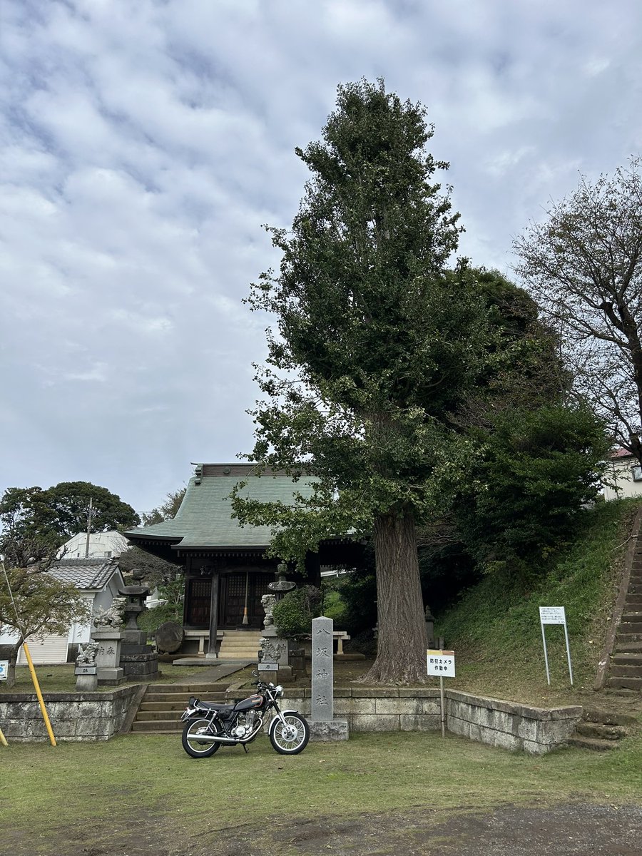 XL_BUELLER72's tweet photo. 紅葉には程遠かった。
#SR https://t.co/d7m6crcyGl