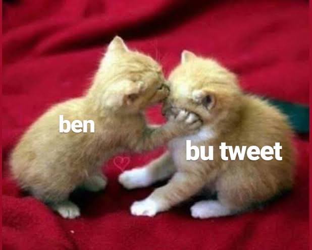 Rozerin (@sasik_rozerin) on Twitter photo 