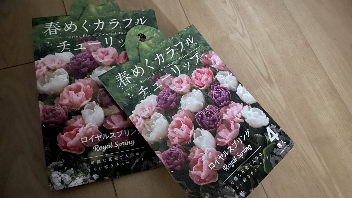 ロイベッサー『BEAUTIFUL TULIPS』★オリジナル作品★ toyo on X