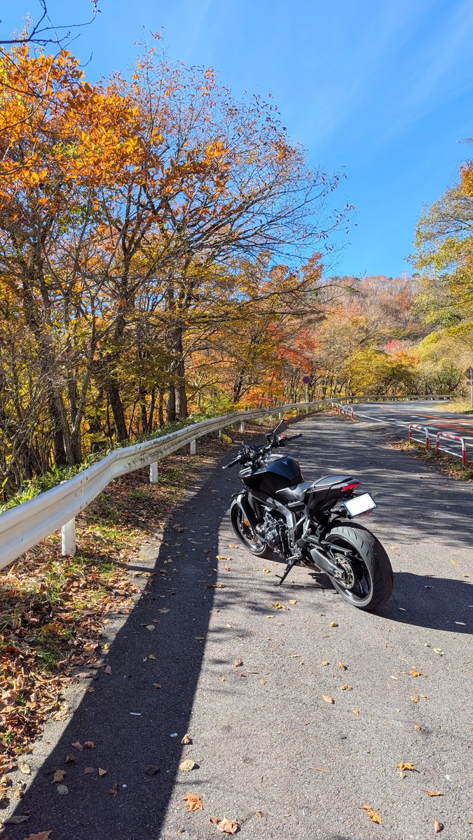 Mt.yama_mania 様 ミキオージ on X