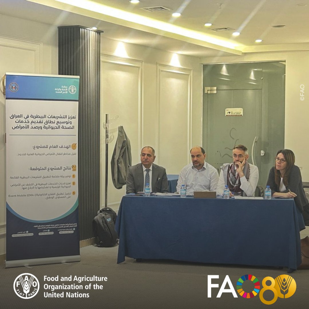 The 5-day workshop on developing Iraq’s National Manual for Animal Health Emergency Operations opened today in Erbil 🇮🇶.
Opening remarks were delivered by MoA Deputy Minister Dr. Mithaq Al Khafaji and FAO Iraq Representative <a href="/shajjhassan/">Salah El Hajj Hassan</a> in presence of Deputy FAOR <a href="/VQuattrola/">Veronica Quattrola</a>