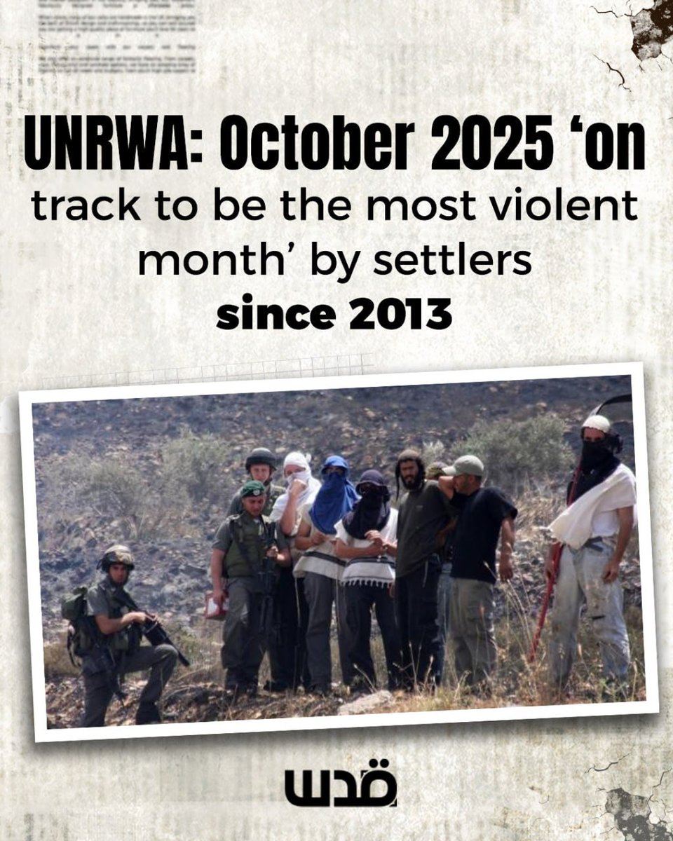 The United Nations warned that this year’s olive harvest is on track to be the most violent in more than a decade as Israeli settlers have carried out more attacks against Palestinians across the occupied West Bank. 

Palestinians in the West Bank have experienced a surge in