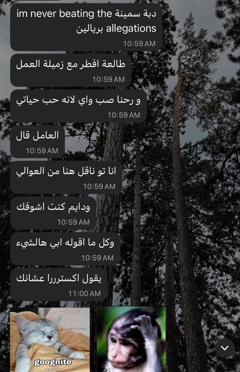 Absolute eris 2.0 tweet media