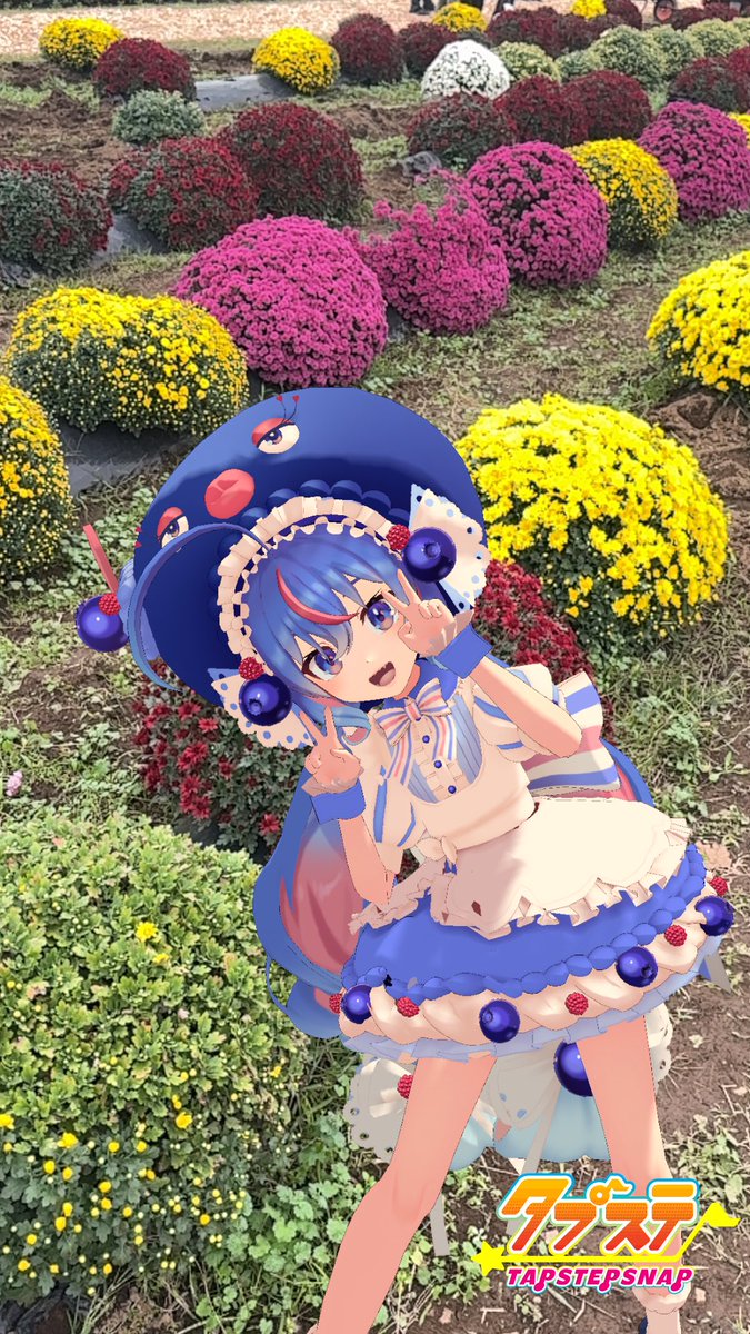 菊千代Ⅶ (@zookasiki) / Posts / X