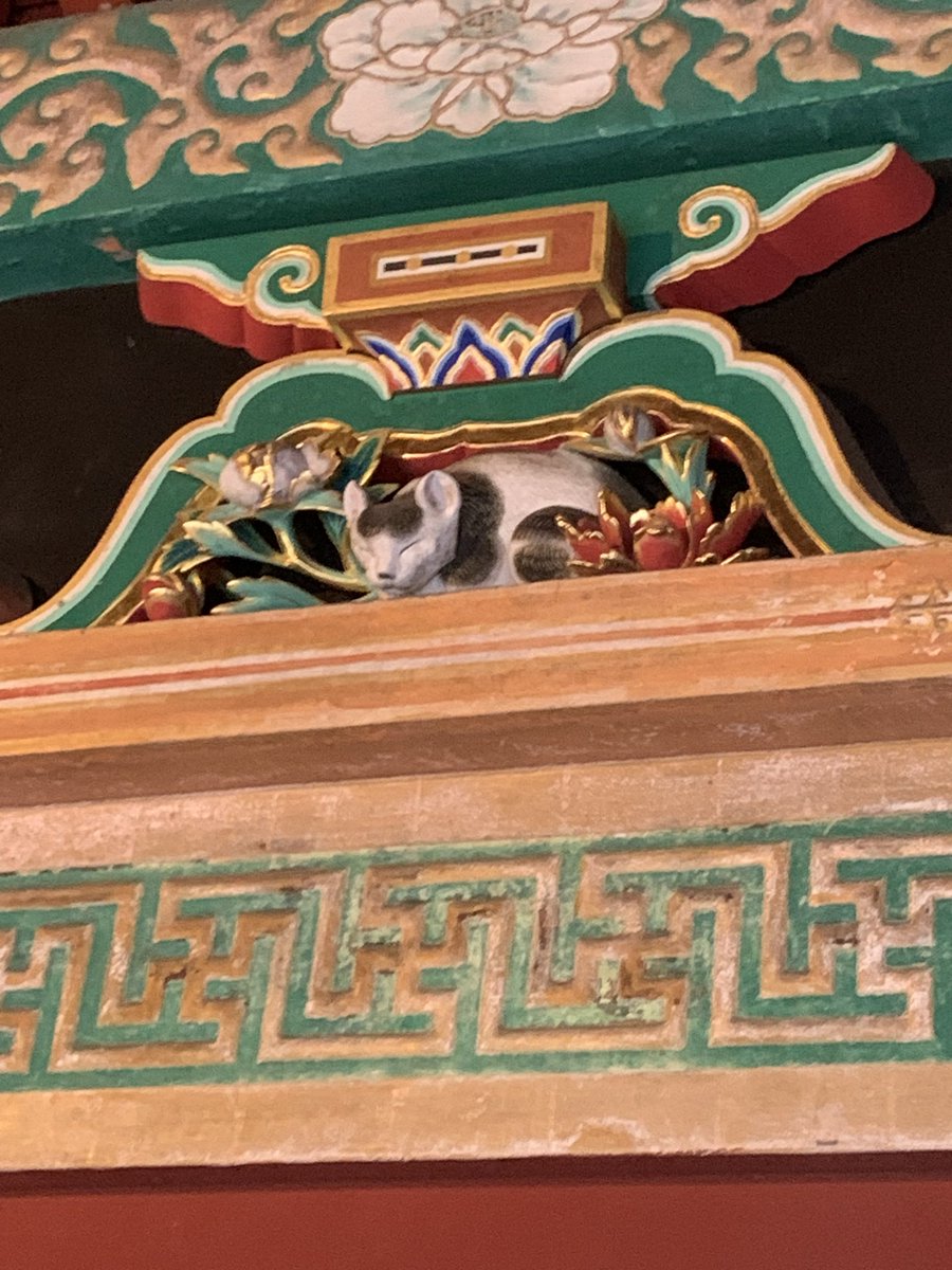 おもち② もちもち様 おもち② おもち様 zx(おもち) (@zx_aka_mo) / X