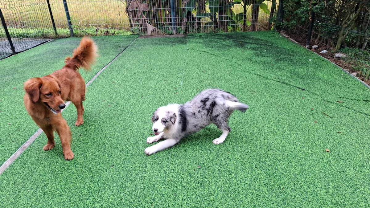 ส่งลูกไปโรงเรียนวันแรก ทำยังไงไม่ให้ลูกโดนรุ่นพี่ที่โรงเรียนรังแกคะ