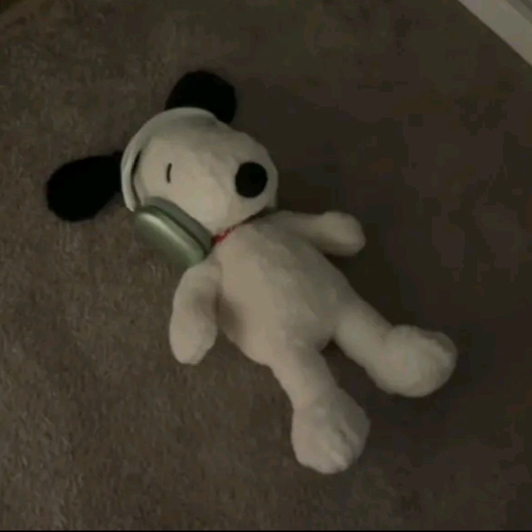 ★ (@snoopyzito) on Twitter photo 