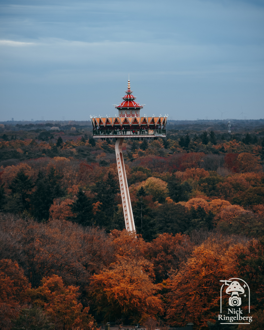 RingelbergNick's tweet image. Herfst boven de Efteling 🍂
Pagode die nét boven het bladerdak uitsteekt – zo zie je pas hoe groot dat park eigenlijk is.

Zou jij ‘m in de herfst of in de avond-in-de-mist willen doen? 😏

#Efteling #Pagode #herfst #themeparkphotography #pretpark #dronephoto #parkview #herfst