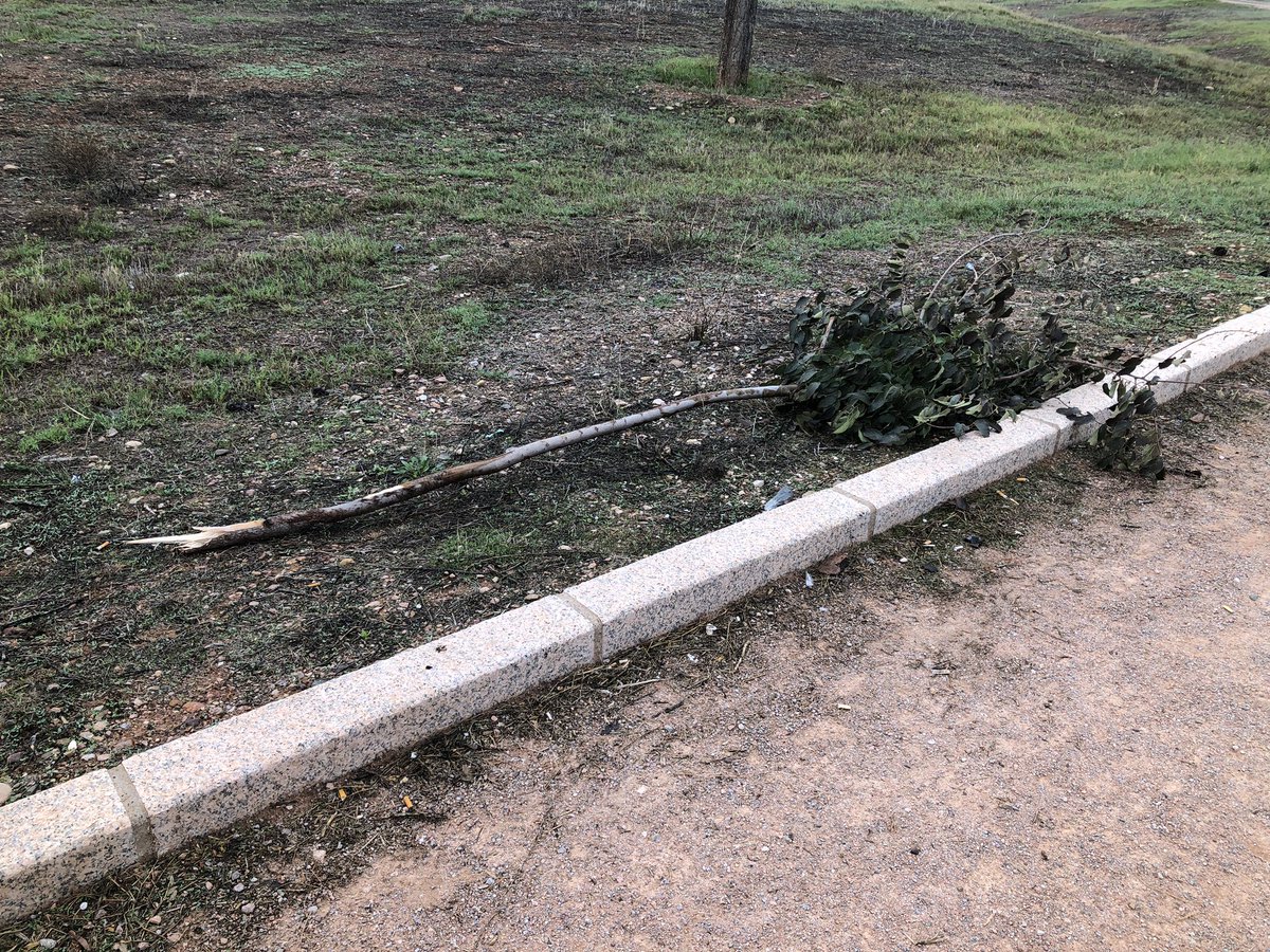 El enésimo acto de vandalismo en el Parque de Levante <a href="/ayuncordoba_es/">Ayuntamiento Córdoba</a> <a href="/InfrayMAmbiente/">Delegación de Infraestructuras</a> . Sigamos sin tomar medidas drásticas o poner algo de vigilancia aquí para estos canallas. Qué impotencia… <a href="/MejoremosCordES/">Mejoremos CordobaESP</a>
