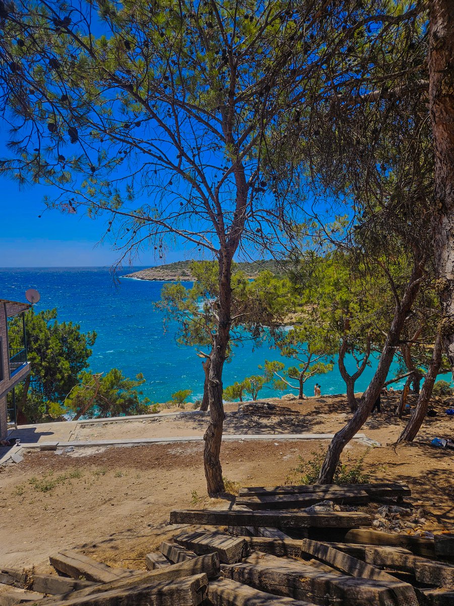 mersin demişken araya tarsus girmezse olmaz