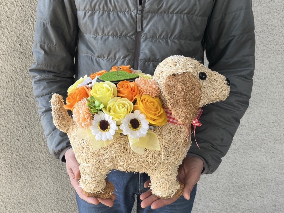 fmanfman's tweet photo. 今日はPet博に出展しています。

もし、インテック大阪に来場されている人がいたら

お声掛けください〜

Cｰ8 のブースにいます〜

いろんな動物に会えるから癒されます。

可愛い過ぎる😍

本日、お会い出来たお客様に感謝します。

#花と動物
#フローリスト萬
#cat
#floristman
#Dog
#犬
#猫
#Pet博 https://t.co/C60Y6i0tUr